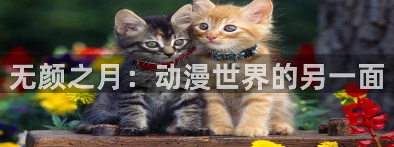 进击的巨人 age动漫