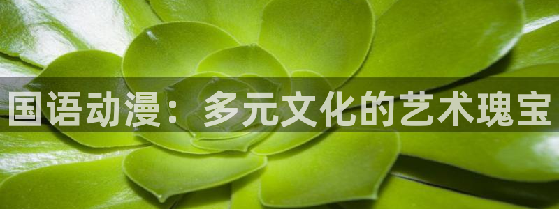 age动漫苹果下载