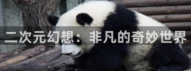 age动漫免费下载安装