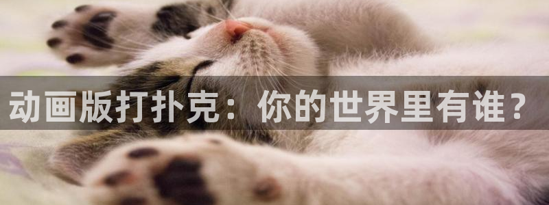 博人传age动漫：动画版打扑克：你的世界里有谁？