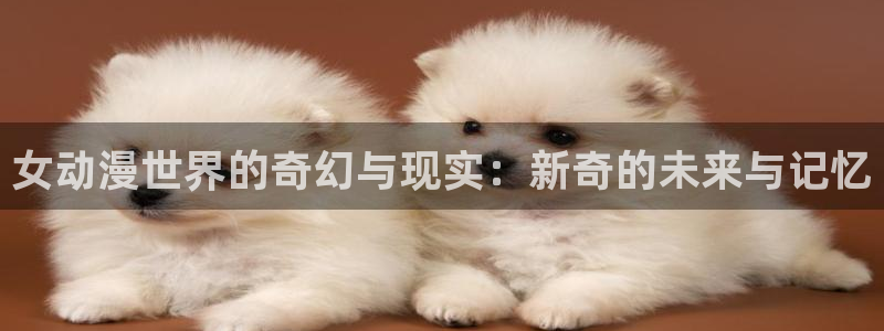 age动漫官网在线看：女动漫世界的奇幻与现实：新奇的未来与记忆