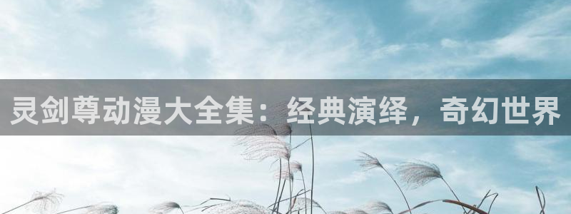 啊个动漫
