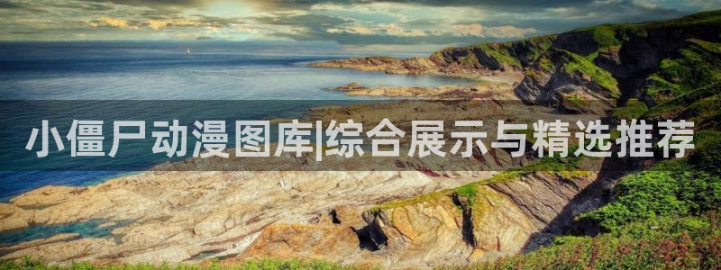 age动漫入口