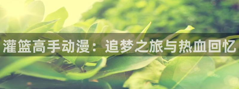 age动漫安卓：灌篮高手动漫：追梦之旅与热血回忆
